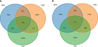 Composition and diversity of rhizosphere microorganisms of Suaeda salsa in the Yellow River Delta